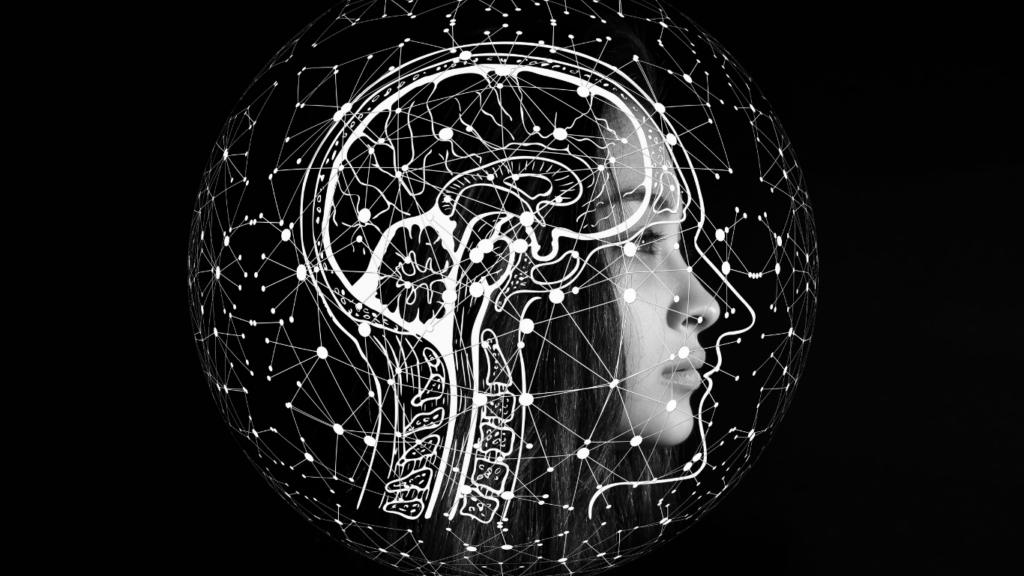 Illustration of human Brain 