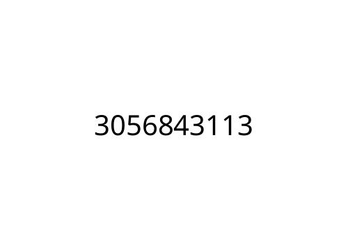 3056843113