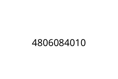 4806084010