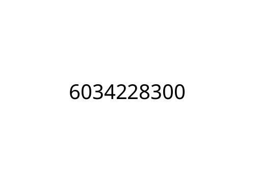 6034228300