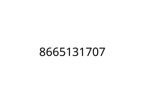 8665131707