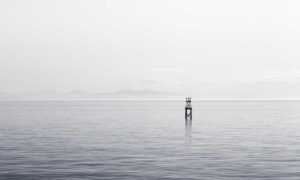 how tazopha investment group work