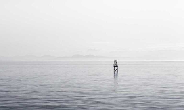 how tazopha investment group work