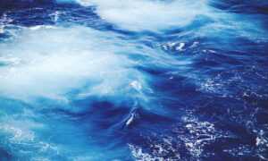 80 dlls a pesos mexicanos