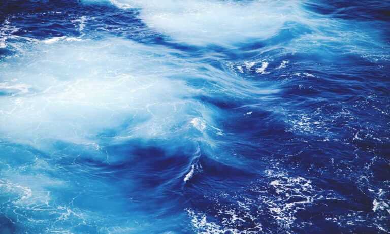 80 dlls a pesos mexicanos