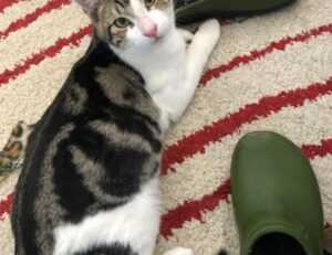 chicas lindas de 12 años para facebook falsos