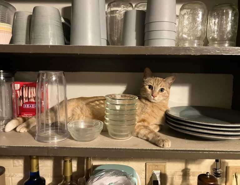 emmilyelizabethh leaks