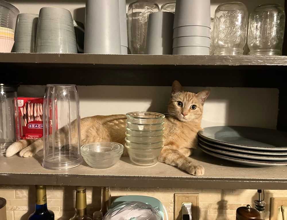 emmilyelizabethh leaks