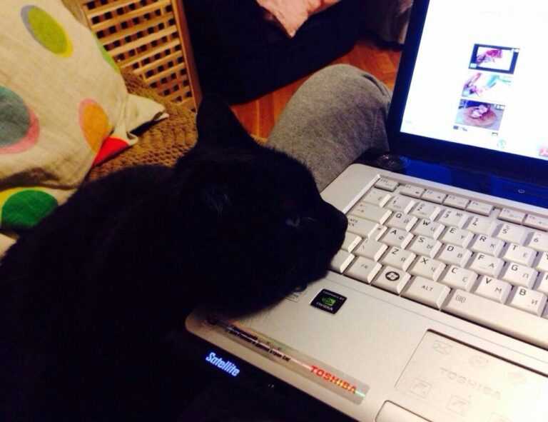 espalda mujeres en traje de baño