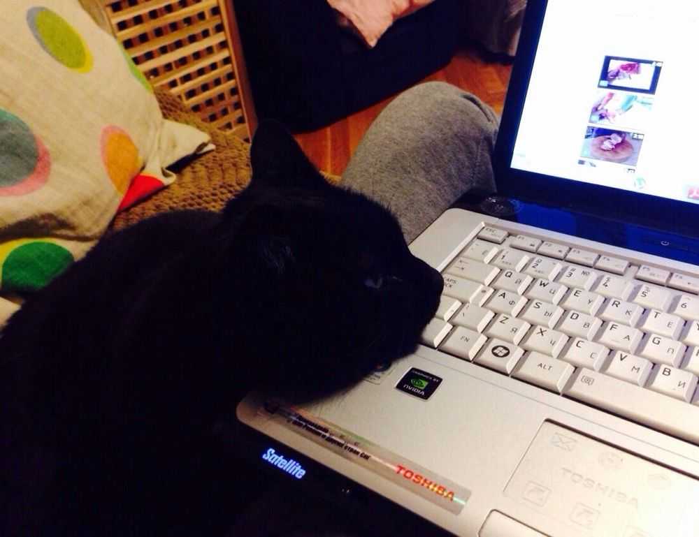 espalda mujeres en traje de baño