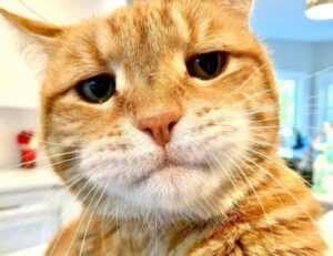 kleurplaat skibidi toilet