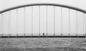 leo movie download tamilrockers