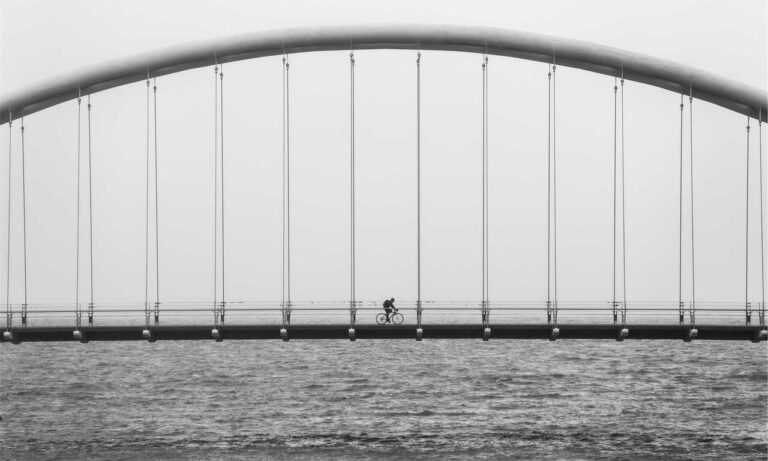 leo movie download tamilrockers