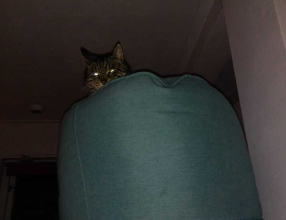 riderkoo roblox skin