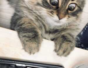 tatuaje pe deget cu initiale