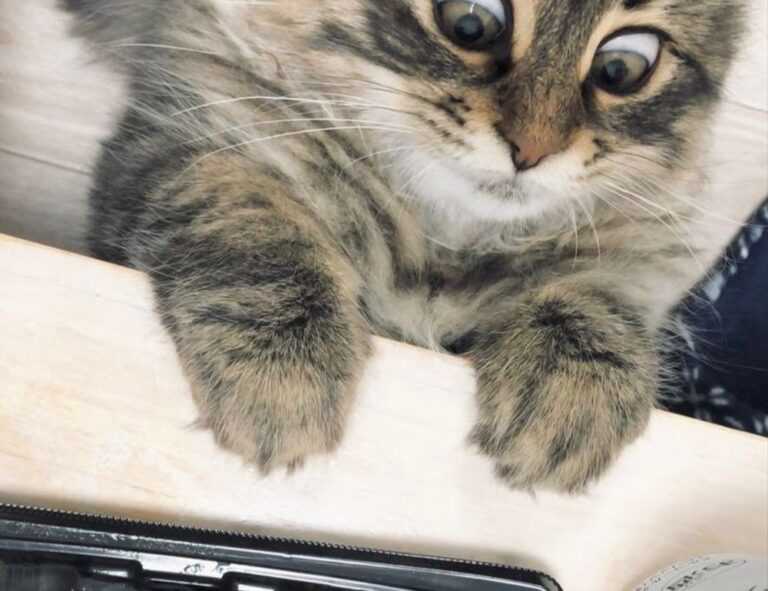 tatuaje pe deget cu initiale