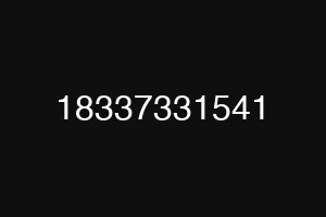 18337331541