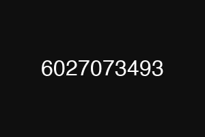6027073493