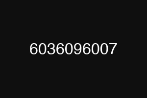 6036096007