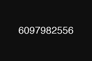 6097982556