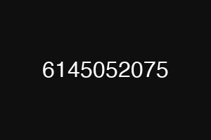 6145052075