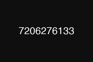 7206276133