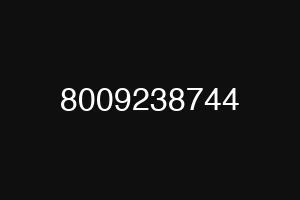 8009238744