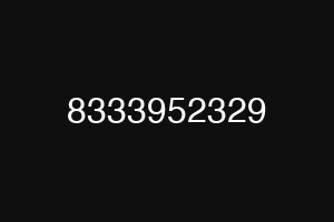 8333952329