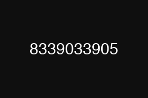 8339033905