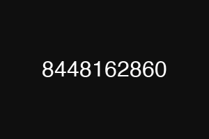 8448162860