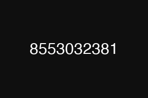 8553032381