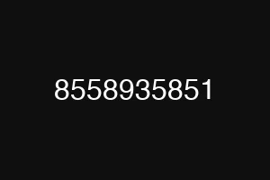 8558935851