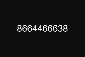 8664466638