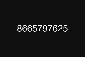 8665797625