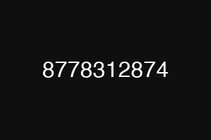 8778312874