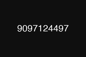 9097124497