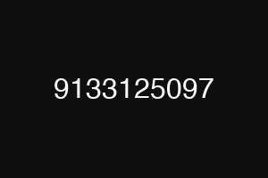 9133125097