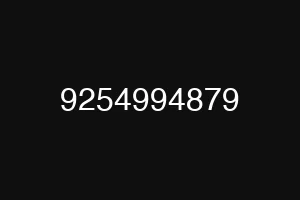 9254994879