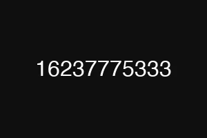 16237775333