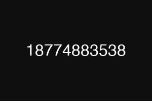 18774883538