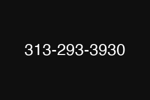 313-293-3930