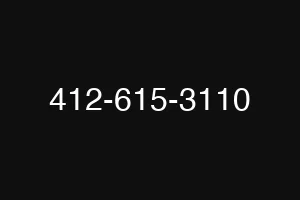 412-615-3110