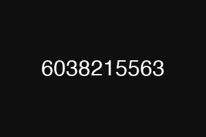 6038215563