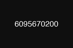 6095670200