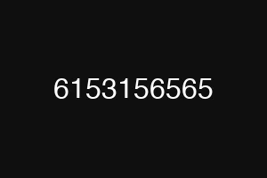 6153156565