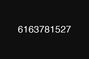 6163781527