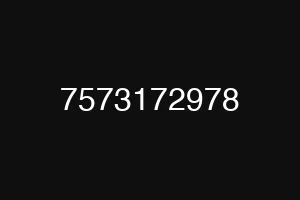 7573172978