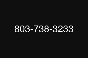 803-738-3233
