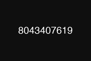 8043407619
