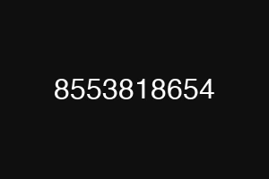 8553818654